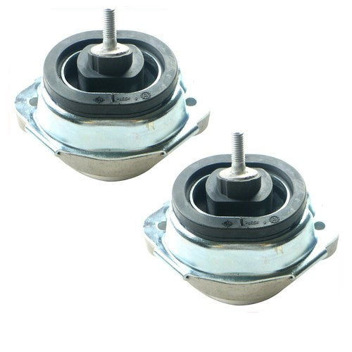 Engine Mount Set Left 22116770793 22116750727 22116758428 & Right 22116770794 Compatible With BMW X5 E53