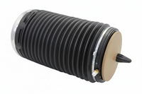 Rear Left  Air Spring Air Suspension 4G0616001Q 4G0616001K 4G0616001R 4G0616001S 4G0616001T Compatible With AUDI A6 C7 (4G2, 4GC) | A6 / S6 & A6 C7 Avant (4G5, 4GD) | A6 / S6 & A7 Sportback (4GA, 4GF) | A7 / S7 (2010-18)