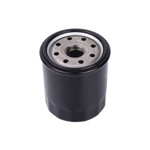 Oil Filter HENGST E319W 1S7G-6714-DA Tag 154