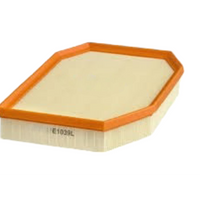 AIR Filter E1039L & 13717590597 & LX1741 Compatible With BMW 5 (F10) Tag.277