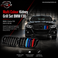 Multi Colour Kidney Grill Set 51137260498 (R.H / L.H) SAME Compatible With BMW 3 Series F30 Tag 10