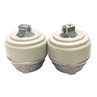 Engine Mounting Left A2212406217 Right A2212406317 Compatible With MERCEDES-BENZ E-Class W221