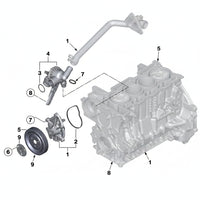 Water Pump Pulley 11517619020 11517545958 11517571012 Compatible With BMW 1 Series (F20) & 3 Series (F30, F80) & MINI MINI (R56) & MINI Convertible (R57) & MINI COUNTRYMAN (R60) Tag-CP-20