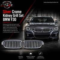 Silver Crome  Kidney Grill Set 51137263479=L.H & 51137263480=R.H  Compatible With BMW 3 Series F30 Tag 7