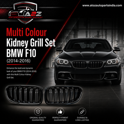 Multi Colour  Kidney Grill Set 51137331771 (R.H/L.H) Same Compatible With BMW 5 Series F10 Tag 11