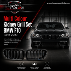 Multi Colour  Kidney Grill Set 51137331771 (R.H/L.H) Same Compatible With BMW 5 Series F10 Tag 11