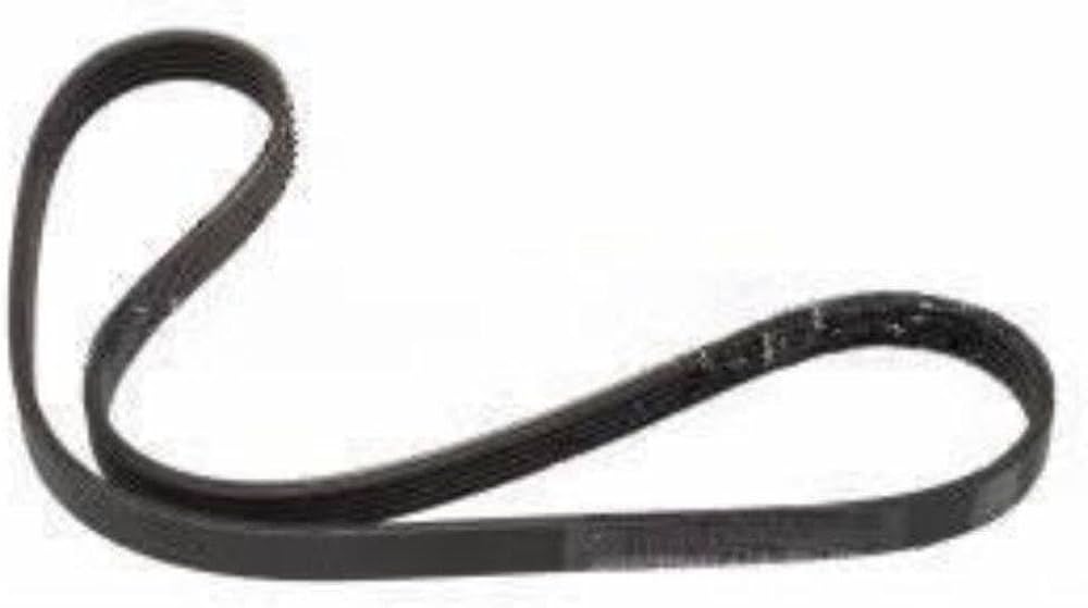 Multi Rib Belt 8PK1785 11287628658 Compatible With BMW 5 (F10) (CONTINENTAL)