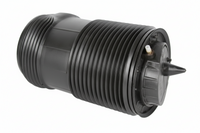 Rear Left Air Suspension Spring Bag 4M0616001P 4M0616001AA 4M0616001AH Compatible With AUDI Q7 4MB, 4MG, 4MQ
