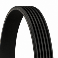 Belt 6PK1009 04E260849B 6019970192 A6019970192 Compatible With AUDI  Tag-BEL-43