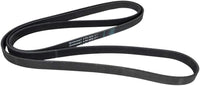 Multi RIB Belt 6PK2535 059903137AJ 059903137AP Compatible With AUDI A8 D4 (4H2, 4H8, 4HC, 4HL) | A8 / S8 | A8L, Q7 (4LB) (CONTINENTAL)
