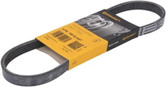 Elast Multi Rib Belt 5PK705 30777417 Compatible With VOLVO S40 || (544) (CONTINENTAL)