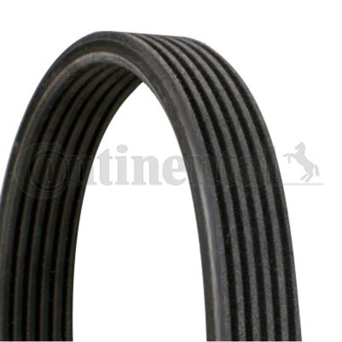 Multi Rib Belt 7DPK1697 11287808107 Compatible With BMW 5 (F10) (CONTINENTAL)