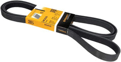Multi RIB Belt 6PK2535 059903137AJ Compatible With AUDI A8 D4 (4H2, 4H8, 4HC, 4HL) | A8 / S8 | A8L, Q7 (4LB) (CONTINENTAL)