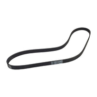 Multi RIB Belt 5PK1120 079903137AA Compatible With AUDI A8 D4 (4H2, 4H8, 4HC, 4HL) | A8 / S8 | A8L  (CONTINENTAL)