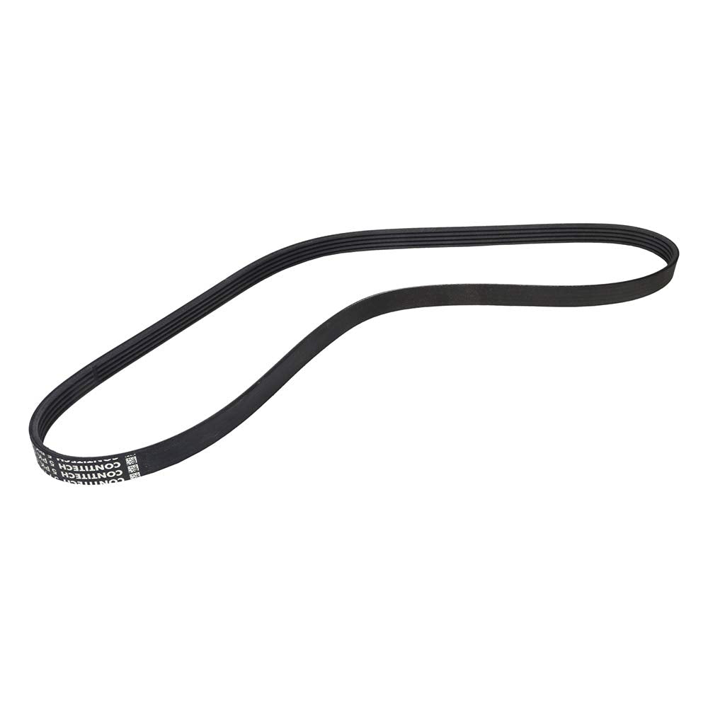 Multi RIB Belt 5PK1120 079903137AA Compatible With AUDI A8 D4 (4H2, 4H8, 4HC, 4HL) | A8 / S8 | A8L  (CONTINENTAL)