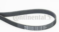 Multi RIB Belt 6PK1130 06K903137A Compatible With AUDI A3 Convertible (8V7, 8VE) | A3 / S3, A3 Limousine (8VS, 8VM) | A3 / S3, A4 B8 (8K2) | A4 / S4, A4 B9 (8W2, 8WC) | A4 / S4, A6 C7 (4G2, 4GC) | A6 / S6, Q2 (GAB, GAG) (CONTINENTAL)