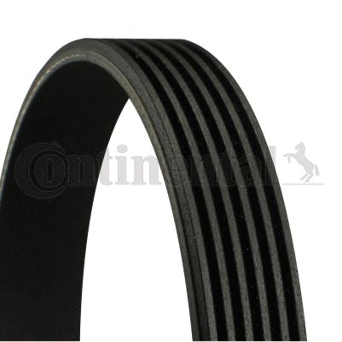 Multi Rib Belt 6PK1670 CX238620AA  Compatible With JAGUAR XF I (X250) (CONTINENTAL)
