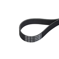 Multi Rib Belt 6PK1538 11281437475 Compatible With BMW 3 (E46), 5 (E60) (CONTINENTAL)