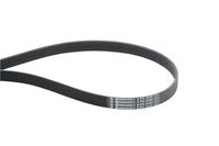 Multi RIB Belt 6PK2490 06E903137R Compatible With AUDI A8 D3 (4E2, 4E8) | A8 / S8 | A8L , Q7 (4LB) (CONTINENTAL)
