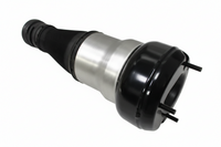 Front Left Air Suspension Spring 2223201900 2223202300 2223204713 Compatible With MERCEDES-BENZ S-CLASS W222