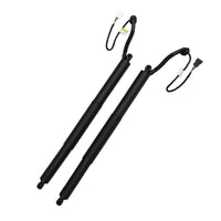 Dickey Electric Shock Absorber Strut Left 51247294469 Right 51247294470 Compatible With BMW X5 (F15, F85) (Taiwan)