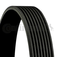 Multi Rib Belt 8PK1785 11287628658 Compatible With BMW 5 (F10) (CONTINENTAL)