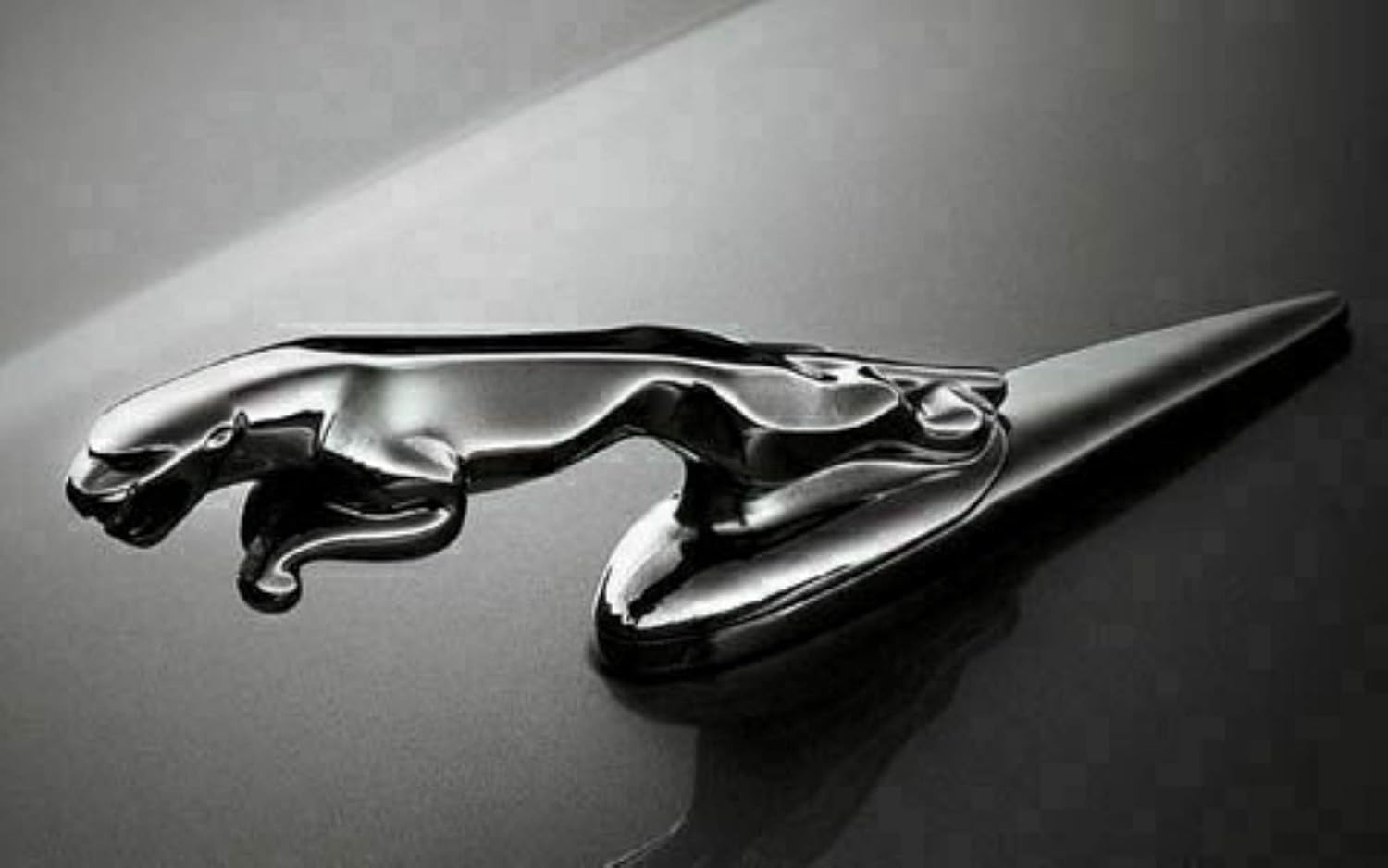 Xf Logo Chrome Badge Compatible with Jaguar Xf Logo Xjl Style Hood Xfs Xjl F Pace Xkr 2008-2020 Chrome