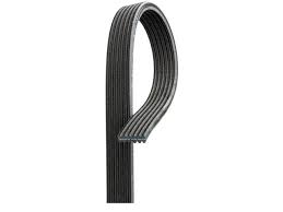 Belt 6DPK1200 06A260849  06A260849B 06A260849C 06A260849E Compatible With SKODA OCTAVIA I (1U2) OCTAVIA I Combi (1U5) & VW NEW BEETLE (9C1, 1C1) Tag-BEL-48