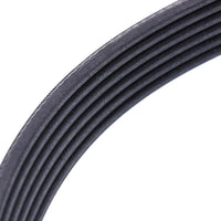 Multi Rib Belt 6PK1555 11281427250 Compatible With BMW 5 (E39) (CONTINENTAL) Tag No.7