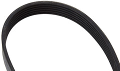 Multi Rib Belt 6PK1780 11288507416 Compatible With BMW 3 (E90) (CONTINENTAL)