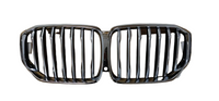 Silver Chrome Show Grill With Camera Hole 51137454887 Compatible With BMW X5 G05 (2019-2023)