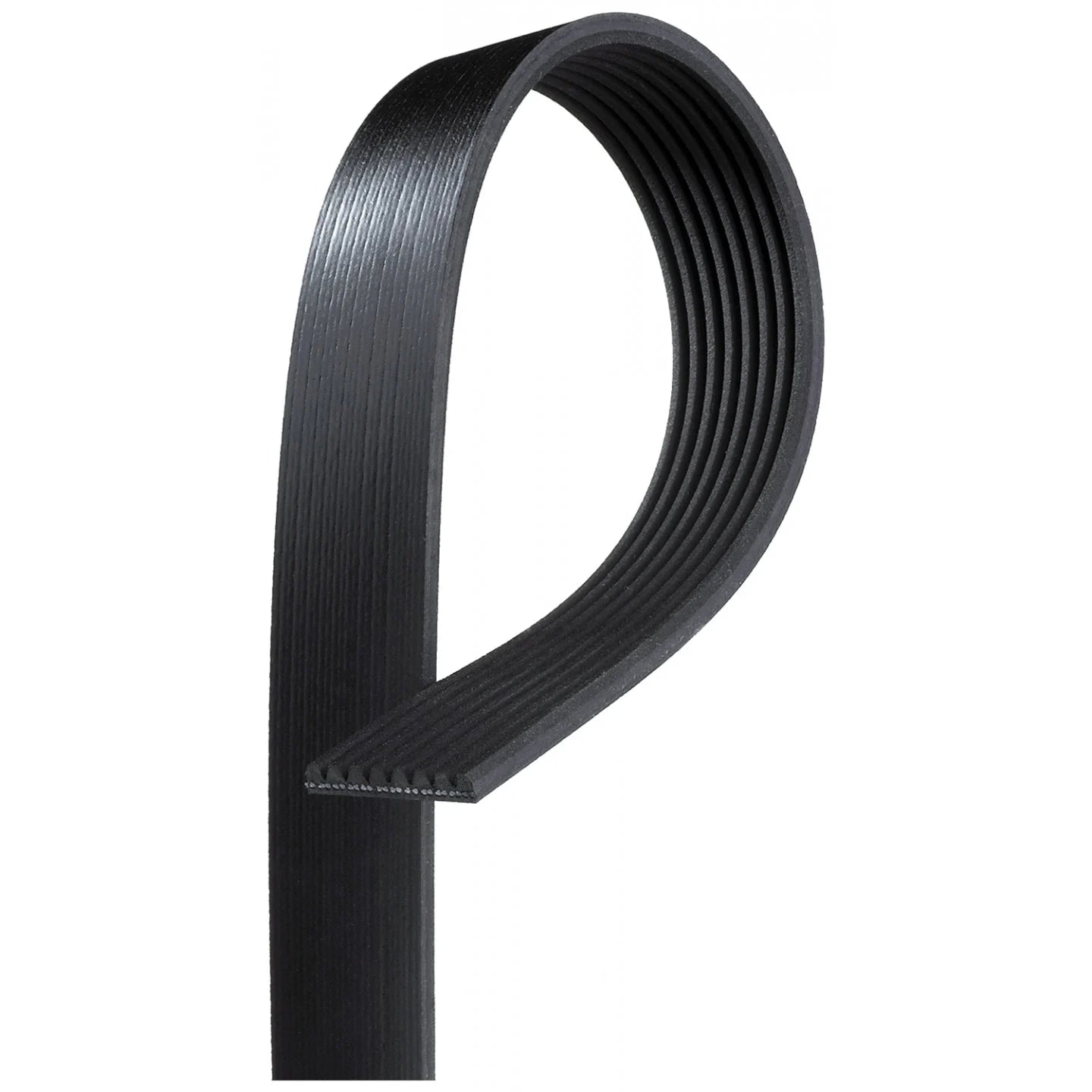 Multi Rib Belt 8PK2035 A0029932996 Compatible With MERCEDES-BENZ M-CLASS (W164) S-CLASS (W221) (CONTINENTAL)