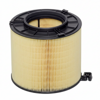 Air Filter  8W0133843C & E1451L & LX4406 Compatible With AUDI A4 B9 (8W2, 8WC) A4 / S4 & Q5 (FYB, FYG) Tag : 129