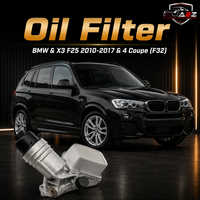 Oil Filter 11428583895AL Compatible With BMW & X3 F25 2010-2017 & 4 Coupe (F32) Tag No.132