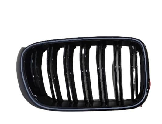 Double Line Show Grill With LED Light Compatible With BMW = F25 (2014-2017) No.5