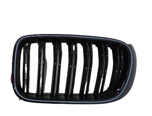 Double Line Show Grill With LED Light Compatible With BMW = F25 (2014-2017) No.5
