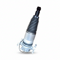 Rear Left Air Suspension Shock Absorber Strut 7P06616019J Compatible With AUDI Q7 (7P) T-2 (2010-18)