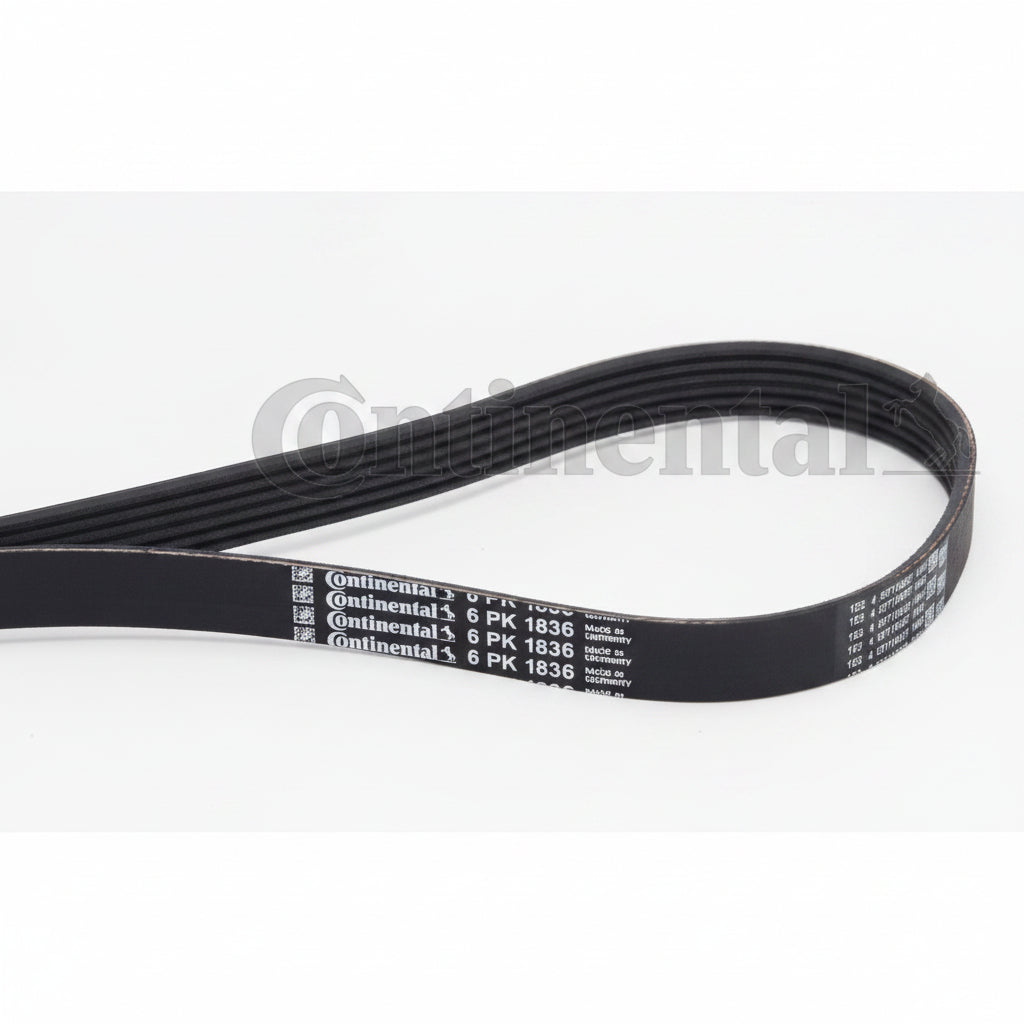 Multi Rib Belt Kit 6PK1836K1  11287790450  11288477780 7790450 8477780 Compatible With BMW 3 Convertible (E93) (CONTINENTAL)