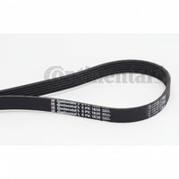Multi Rib Belt Kit 6PK1836K1  11287790450  11288477780 7790450 8477780 Compatible With BMW 3 Convertible (E93) (CONTINENTAL)