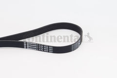 Multi Rib Belt Kit 6PK1836K1 Compatible With BMW 3 Convertible (E93) (CONTINENTAL)
