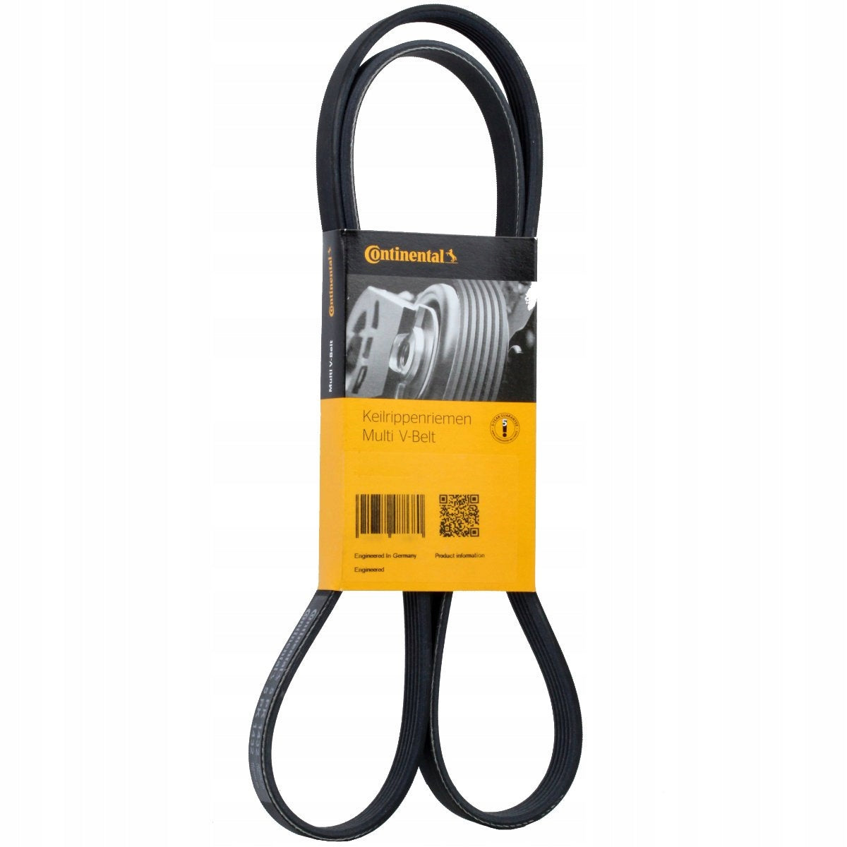 Multi Rib Belt 6PK1538 11281437475 Compatible With BMW 3 (E46), 5 (E60) (CONTINENTAL)