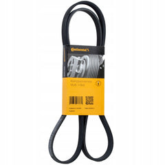 Multi Rib Belt 6PK1538 11281437475 Compatible With BMW 3 (E46), 5 (E60) (CONTINENTAL)
