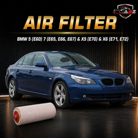 Air Filter E376L & 13712247444 & LX818 Compatible With BMW 5 (E60) 7 (E65, E66, E67) & X5 (E70) & X6 (E71, E72)Tag : 34