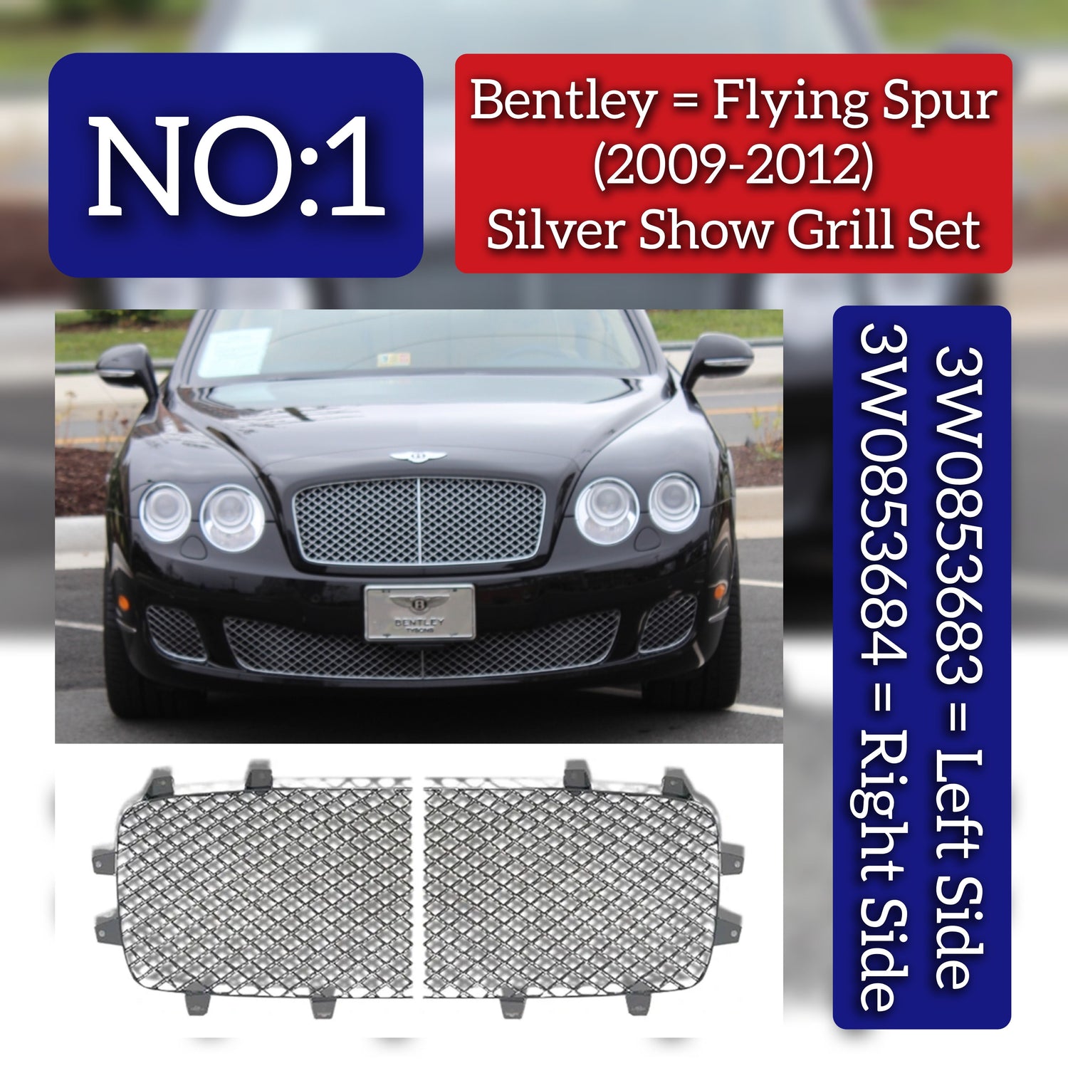 Silver Show Grill Left 3W0853683 & Right 3W0853684 Compatible With Bentley Flying Spur (2009-2012) Tag No.1