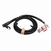 Battery Positive Terminal Wire 2465408613 Compatible With Mercedes Benz W246