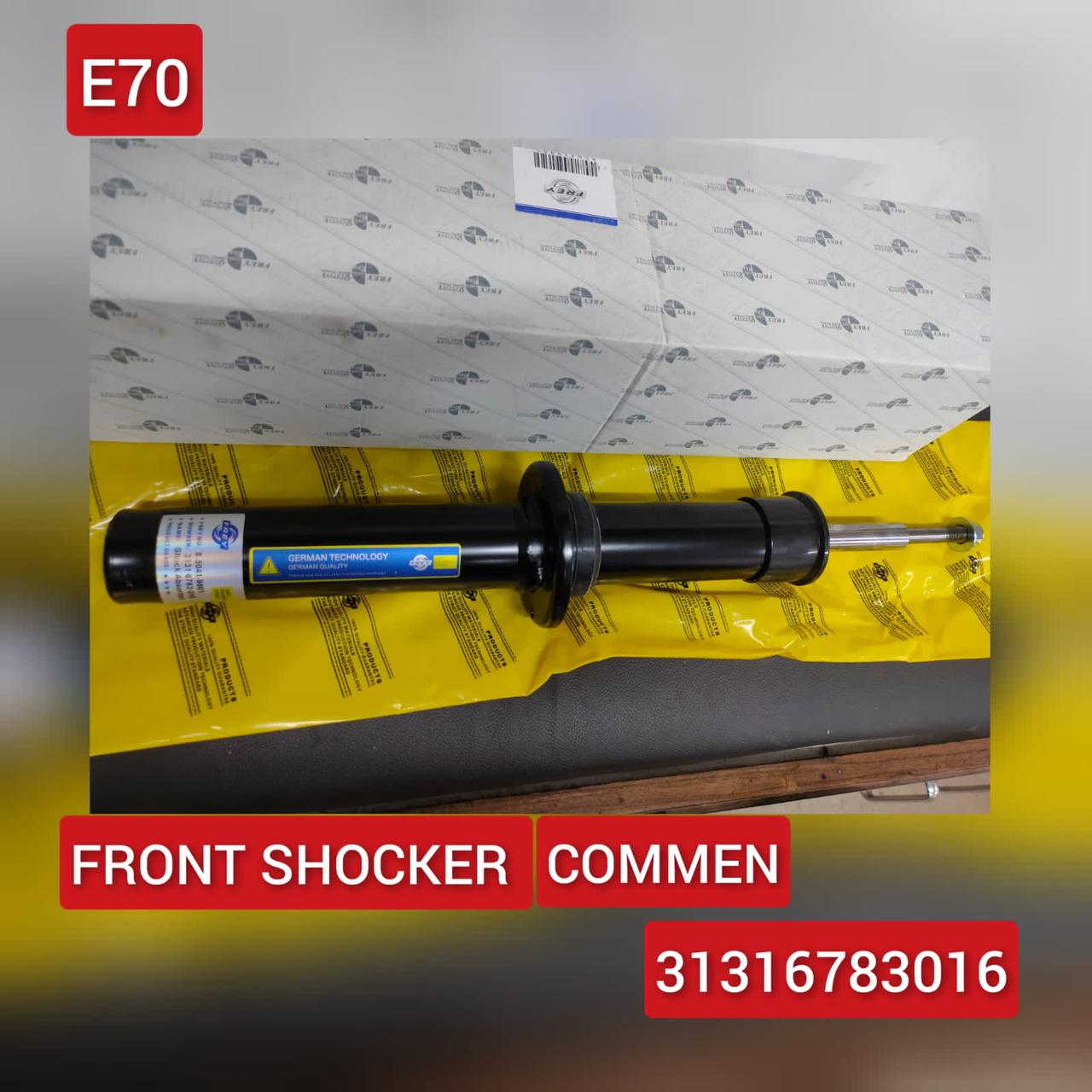 Front (Left & Right Same)  Shock Absorber 31316783016 Compatible With BMW X5 (E70) & X6 (E71, E72) (1PCS)