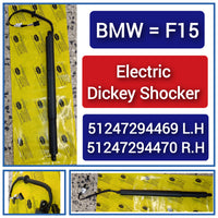 Dickey Electric Shock Absorber Strut Left 51247294469 Right 51247294470 Compatible With BMW X5 (F15, F85) (Taiwan)