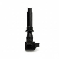 Ignition Coil LR091616 Compatible With DEFENDER Station Wagon (L663) DISCOVERY SPORT (L550) DISCOVERY V (L462) RANGE ROVER EVOQUE (L538)
