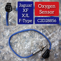 Coolant Level Sensor C2D28856 Compatible With JAGUAR F-TYPE Convertible & (X152)  F-TYPE Coupe (X152) XE (X760)