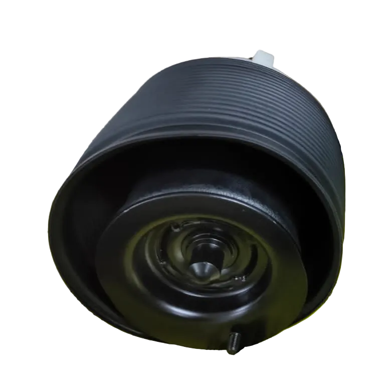 Rear Left Air Suspension Spring 4809060010  4809060020 Compatible With TOYOTA LAND CRUISER PRADO _J15_